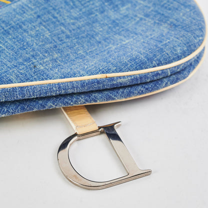 Christian Dior Embroidery Saddle
