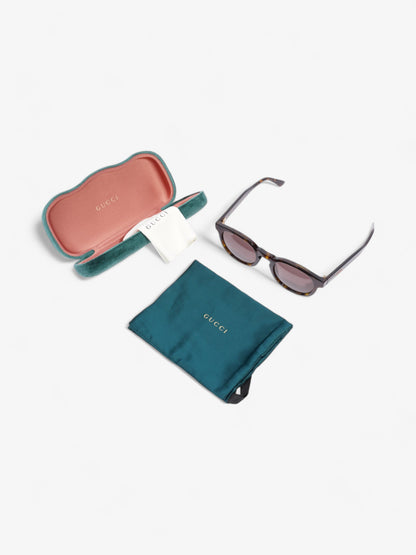 Gucci Round Sunglasses Dark Tortoise Acetate 145mm