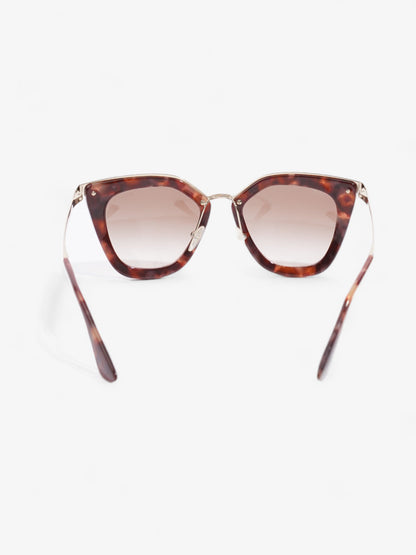 Prada Cat-Eye Sunglasses Brown / Pink / Gold Acetate 140mm