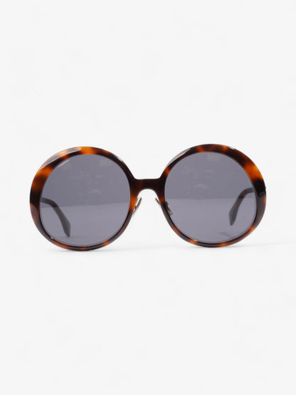 Fendi Round Sunglasses Havana Brown / Gold Acetate 140mm