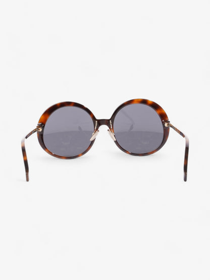 Fendi Round Sunglasses Havana Brown / Gold Acetate 140mm