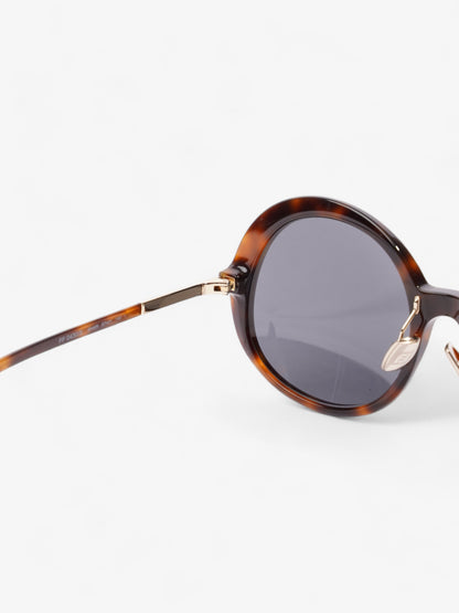 Fendi Round Sunglasses Havana Brown / Gold Acetate 140mm