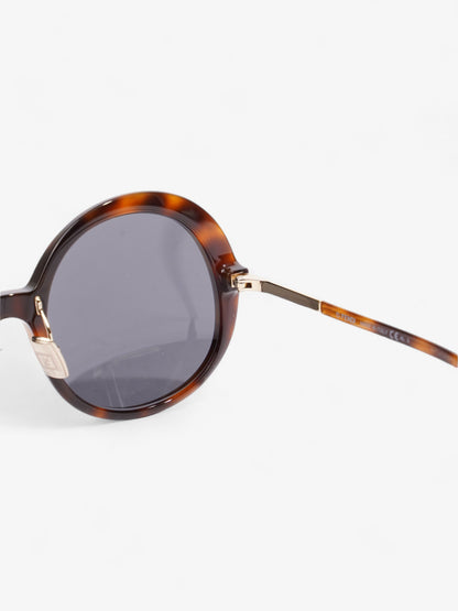 Fendi Round Sunglasses Havana Brown / Gold Acetate 140mm