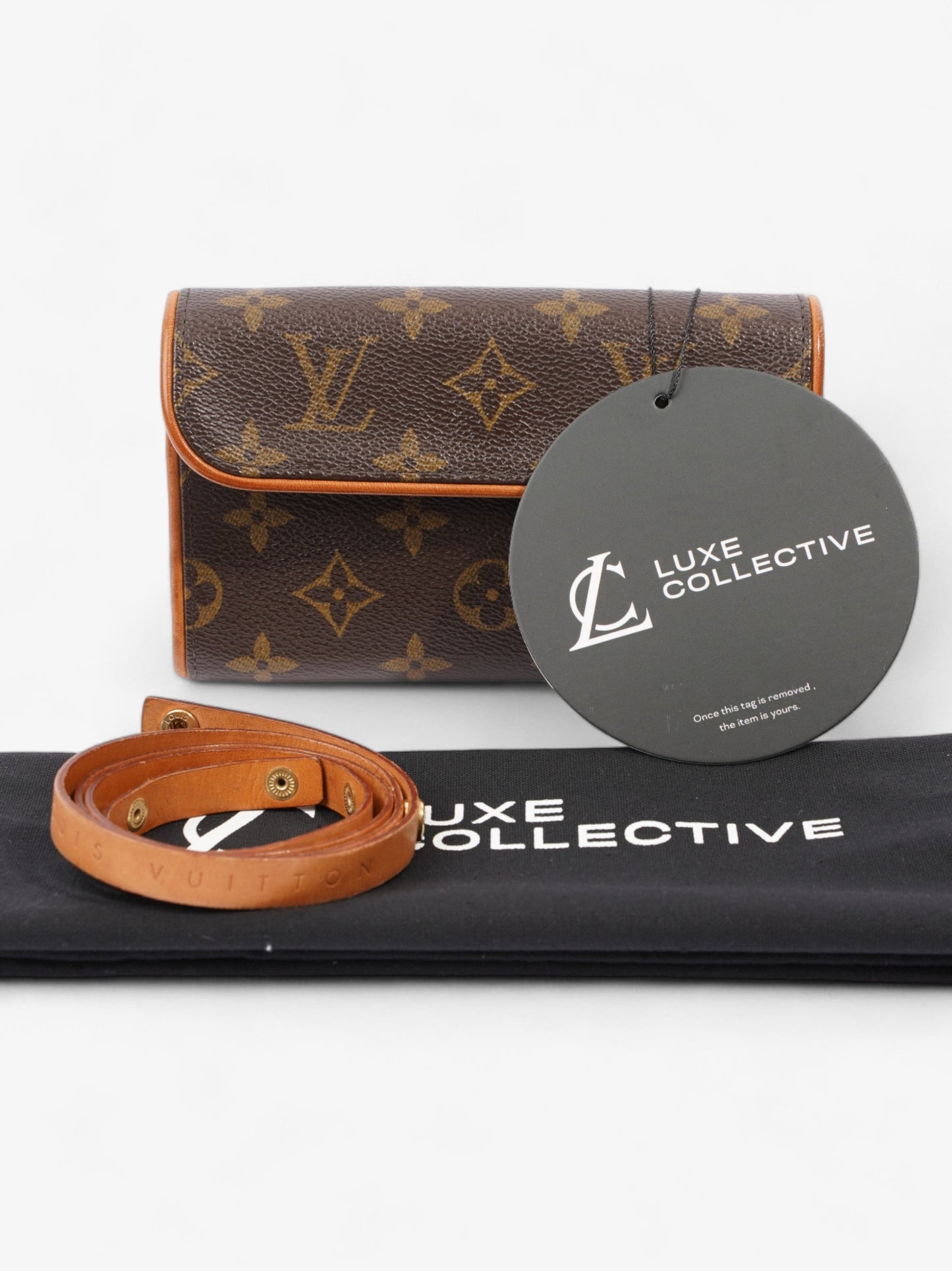 Louis Vuitton Pochette Florentine Belt Bag Monogram Coated Canvas XS