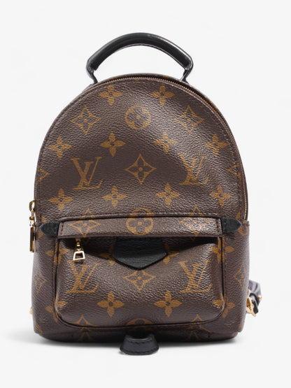 Louis Vuitton Palm Springs Monogram Coated Canvas