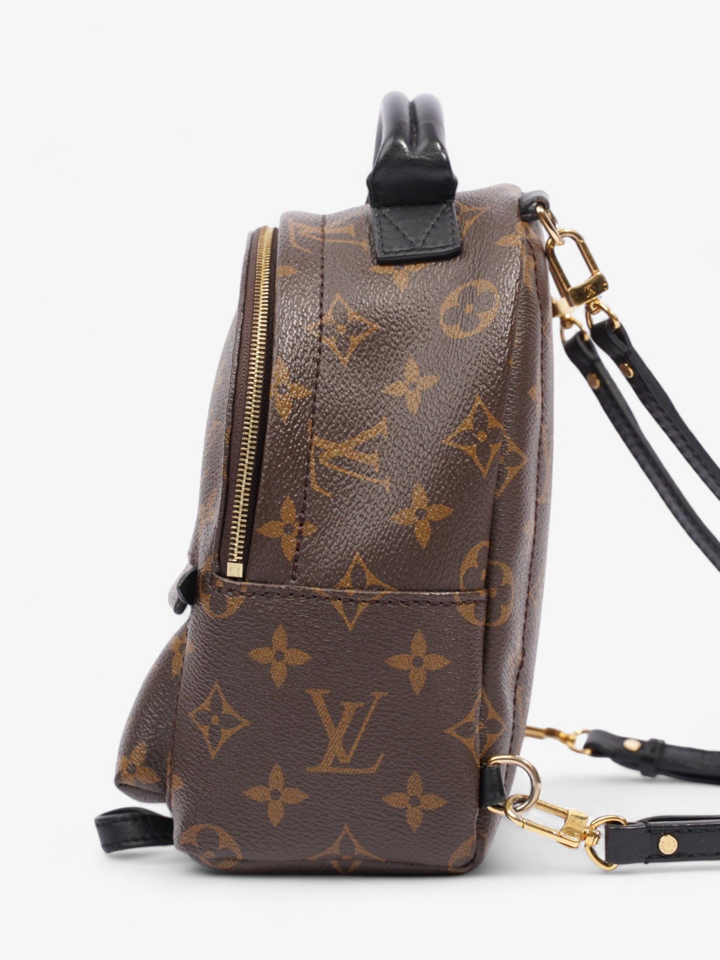 Louis Vuitton Palm Springs Monogram Coated Canvas