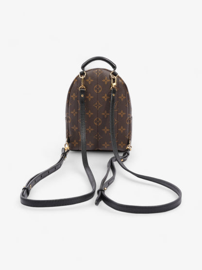 Louis Vuitton Palm Springs Monogram Coated Canvas