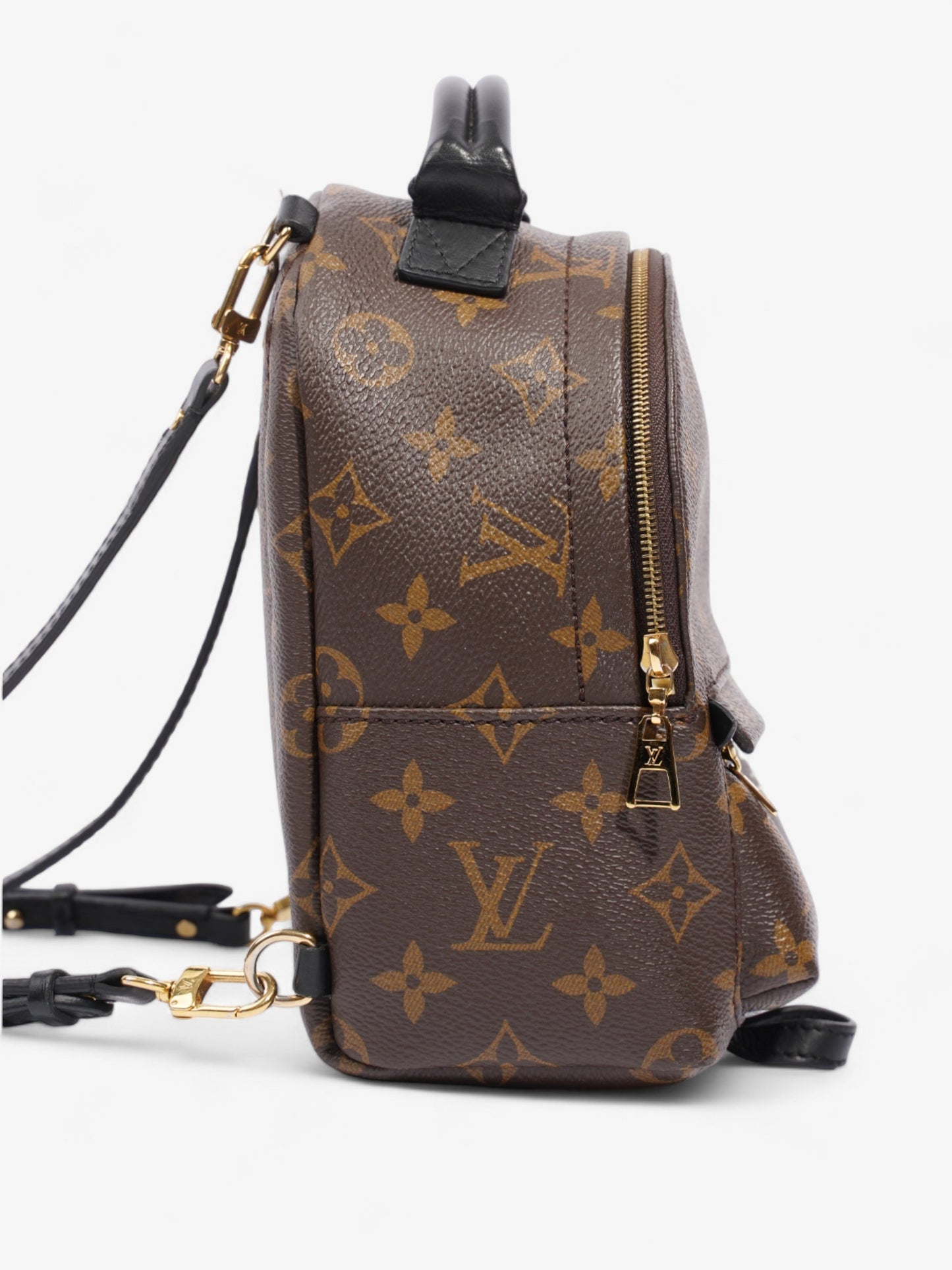Louis Vuitton Palm Springs Monogram Coated Canvas