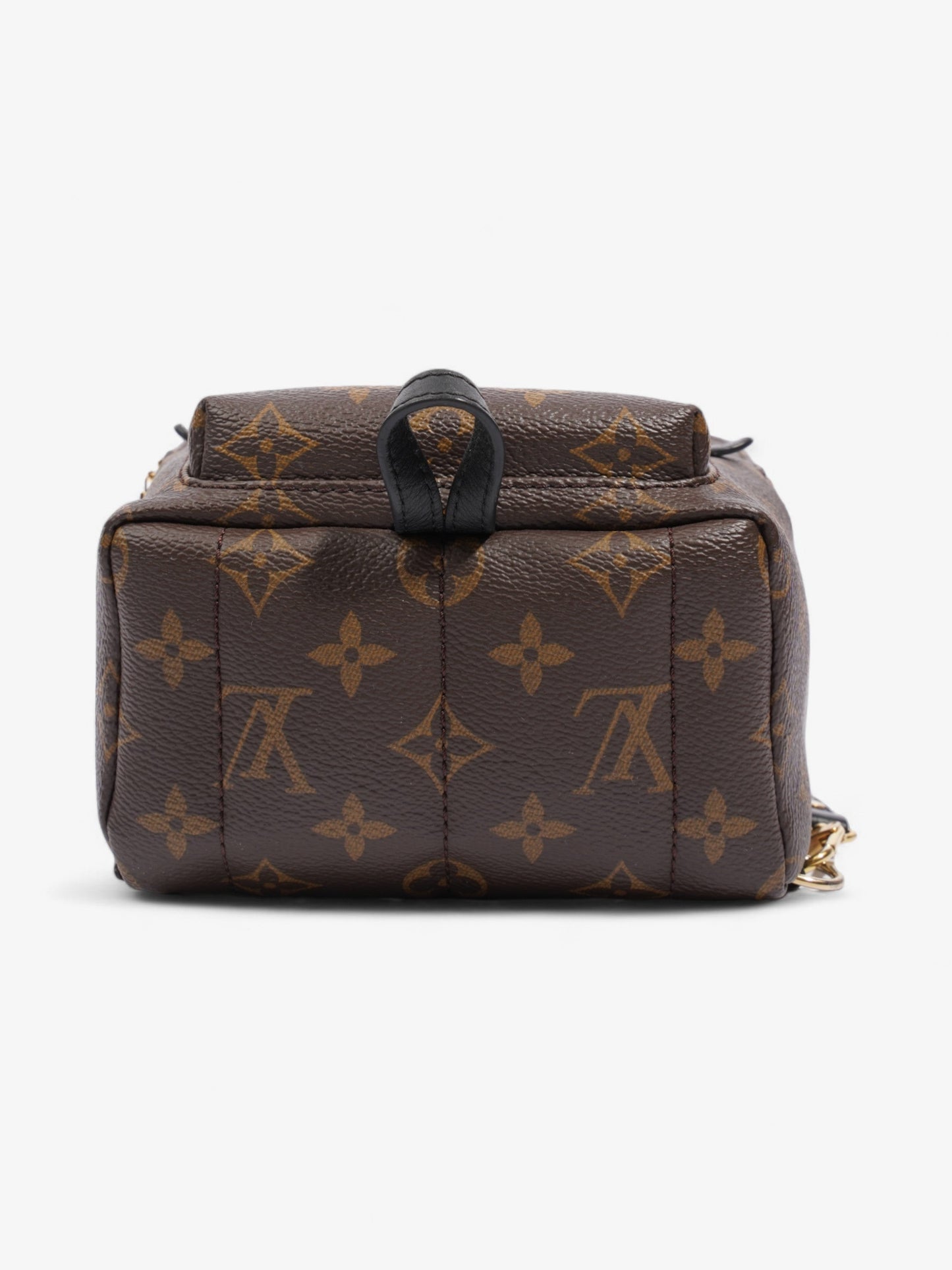 Louis Vuitton Palm Springs Monogram Coated Canvas