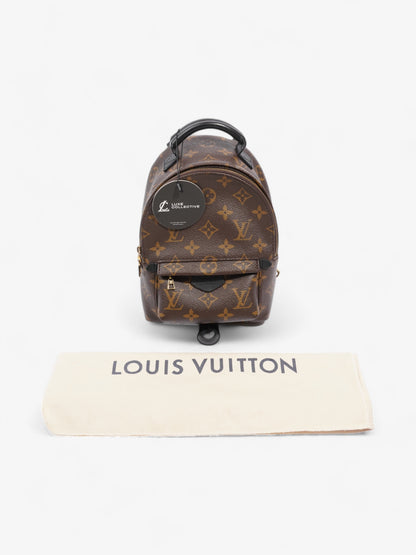 Louis Vuitton Palm Springs Monogram Coated Canvas