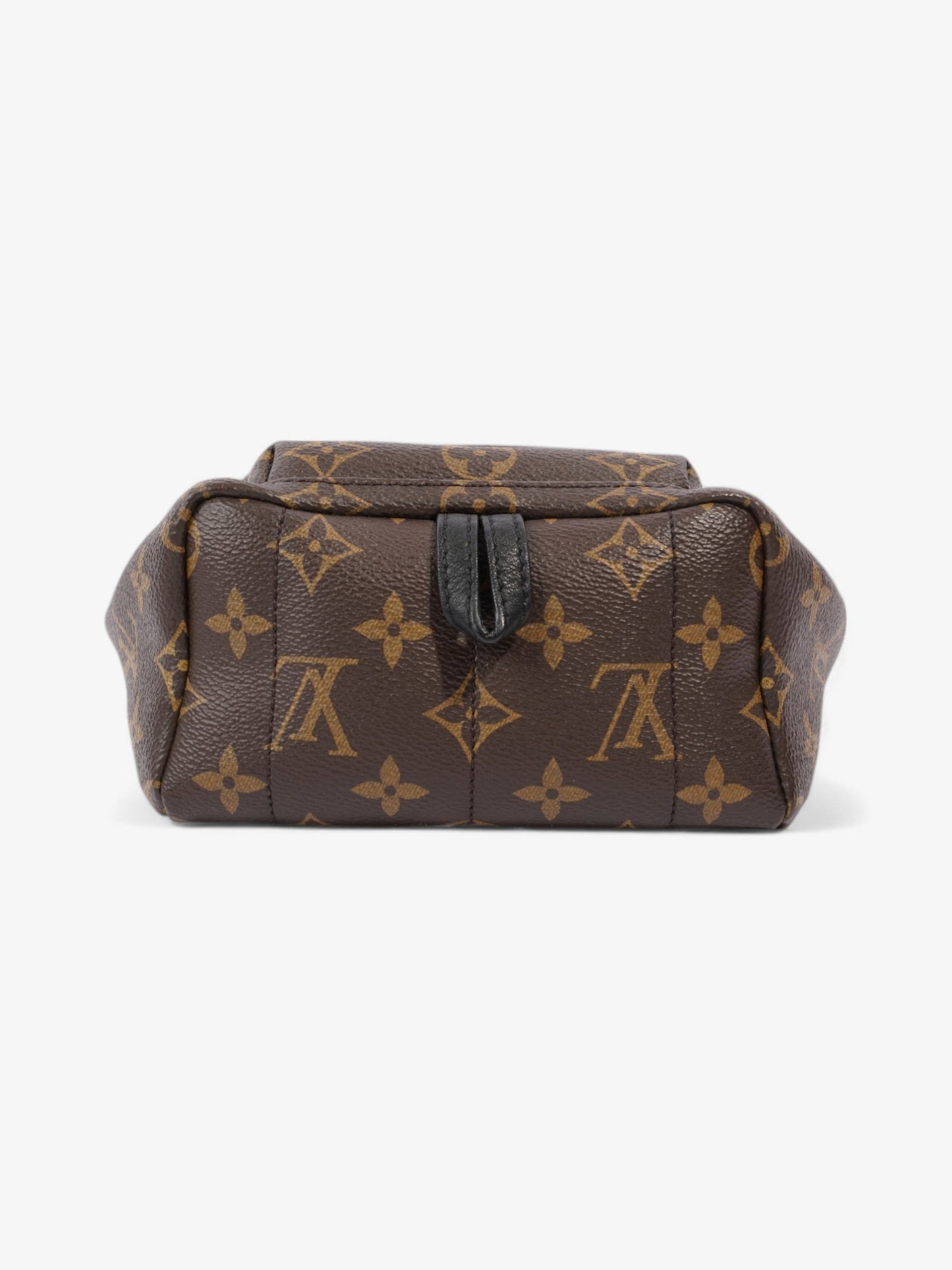 Louis Vuitton Palm Springs Monogram / Black Coated Canvas Mini