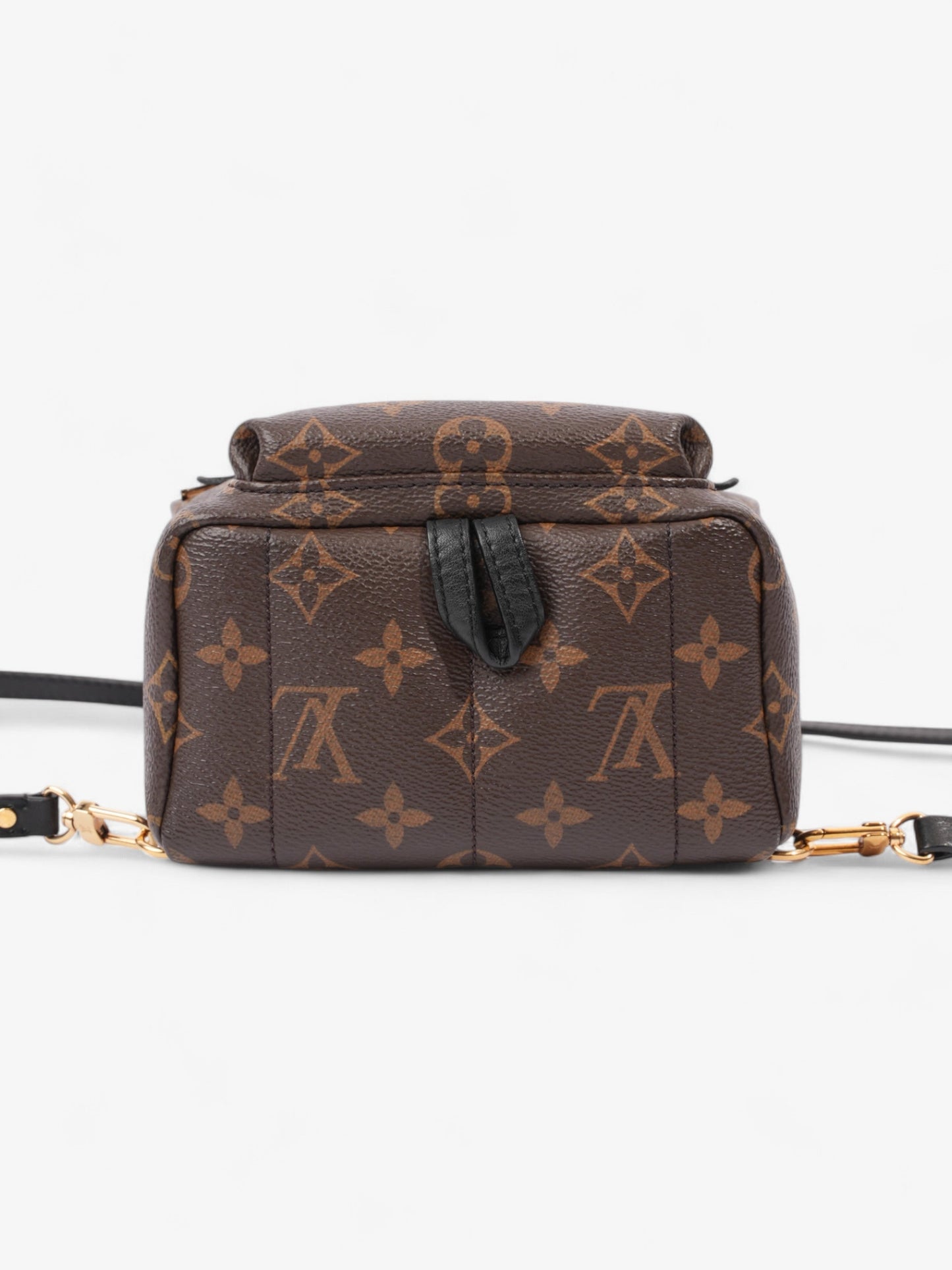 Louis Vuitton Palm Springs Monogram / Black Coated Canvas Mini