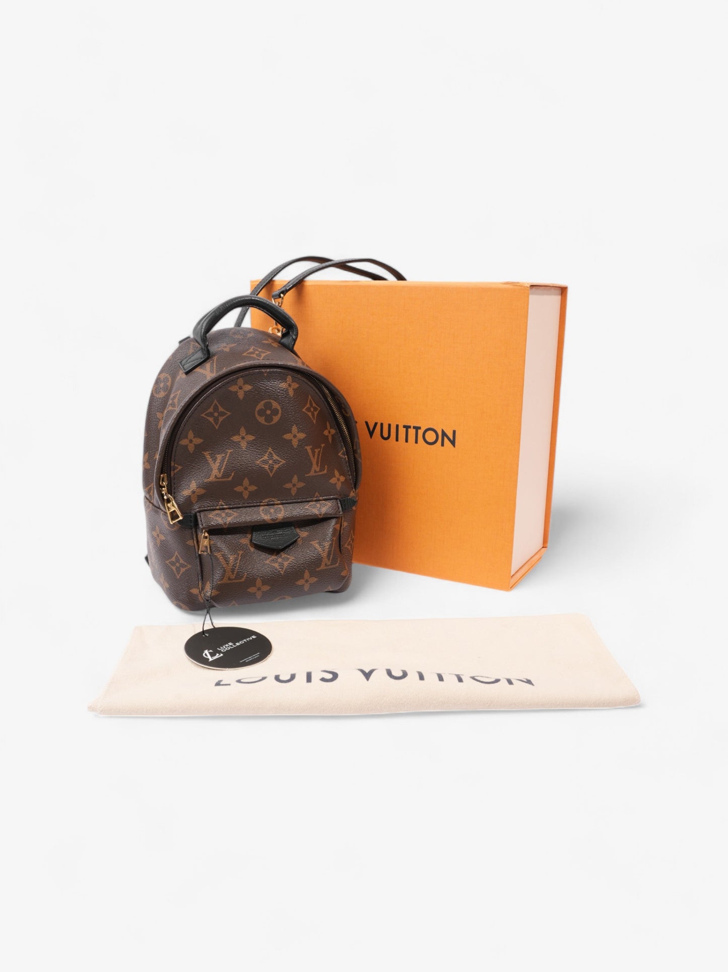 Louis Vuitton Palm Springs Monogram / Black Coated Canvas Mini