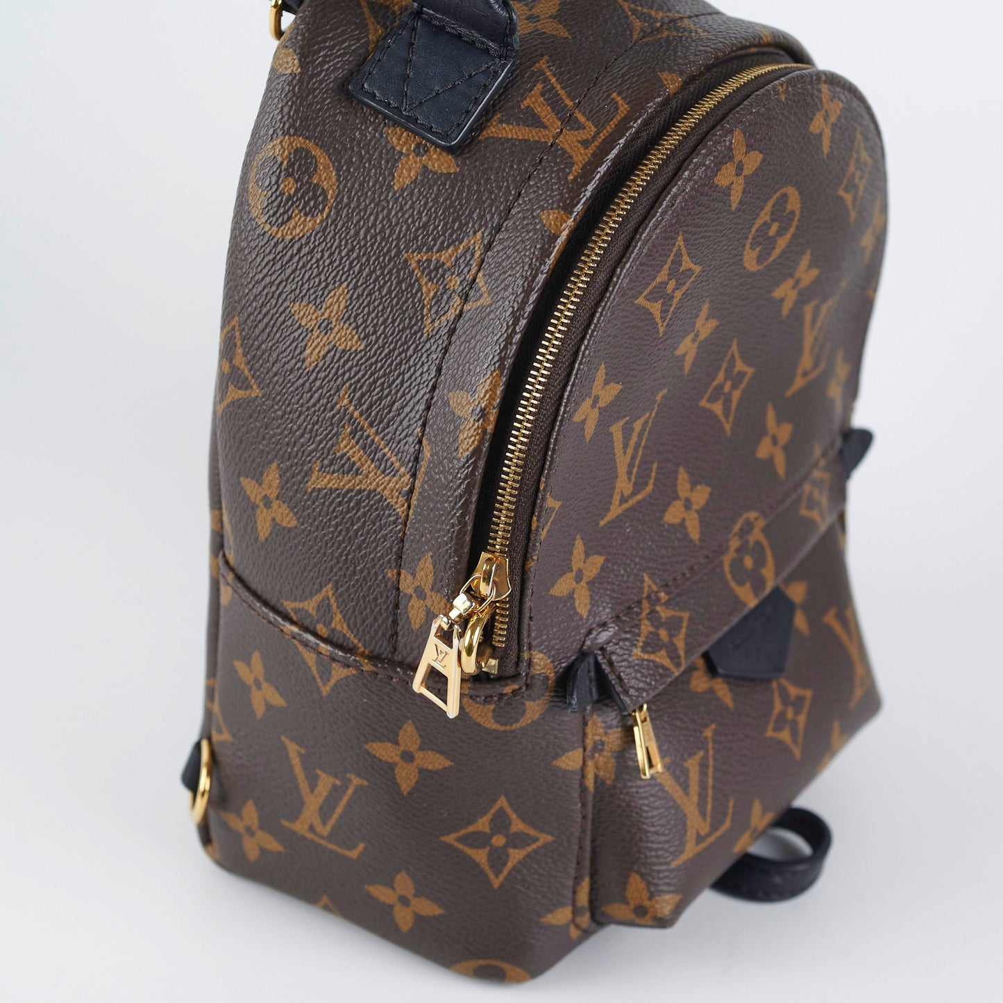 Louis Vuitton Palm Spring Mini Monogram (New Zipper Style)