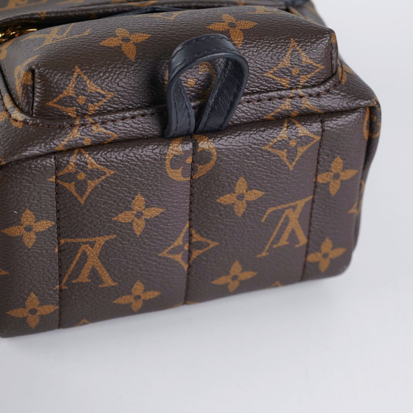 Louis Vuitton Palm Spring Mini Monogram (New Zipper Style)