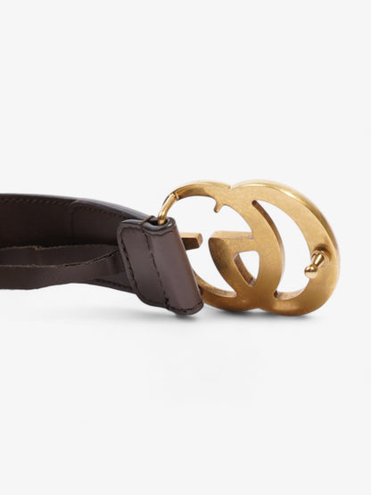 Gucci GG Marmont Belt GG Supreme / Brown / Gold Canvas 85cm / 34"