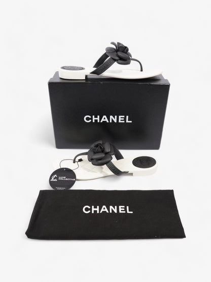 Chanel Camellia White / Black Rubber EU 40 UK 7