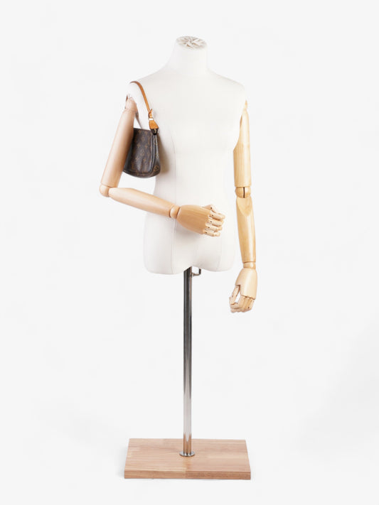 Louis Vuitton Pochette Accessoires Monogram Coated Canvas