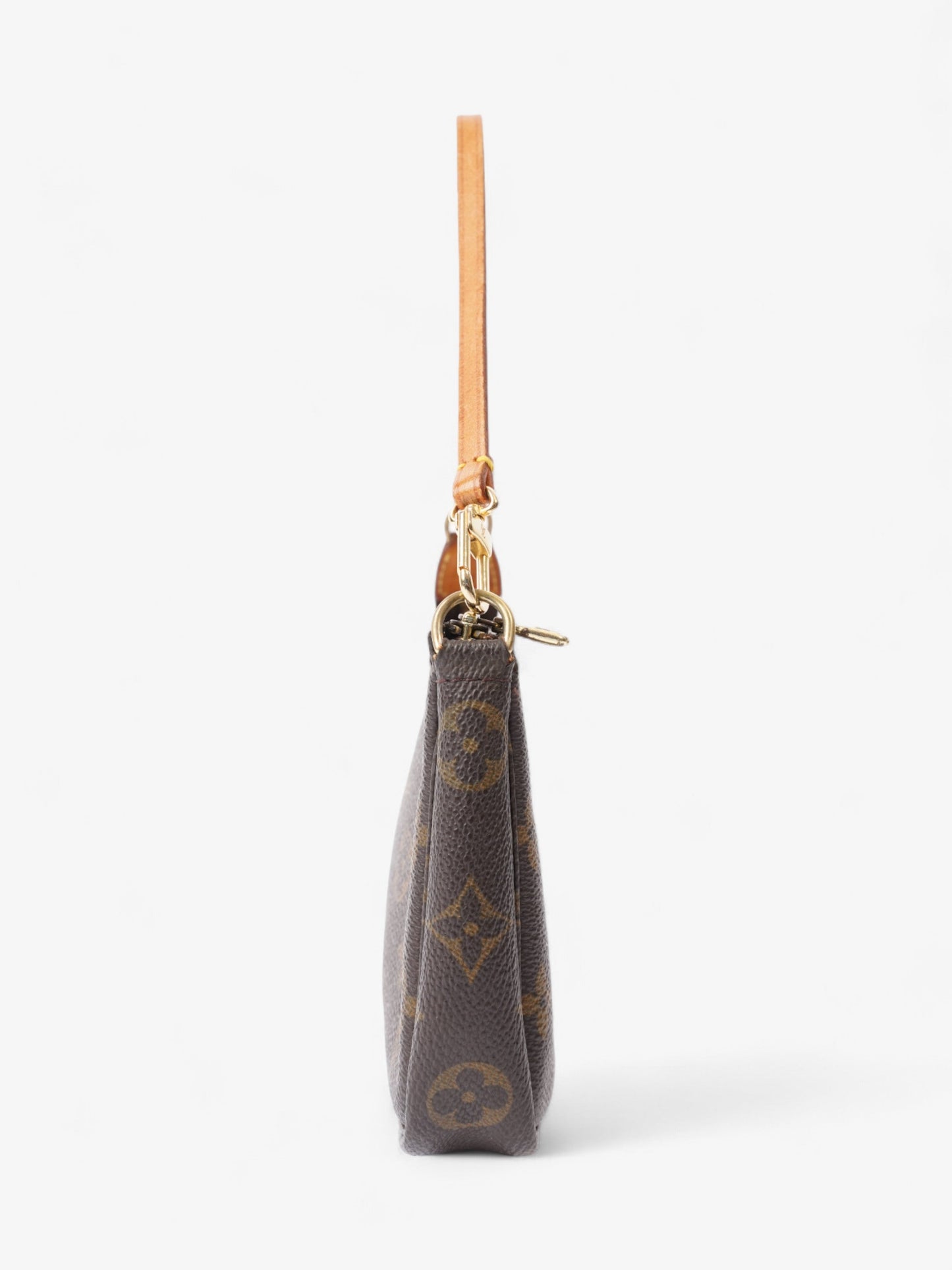 Louis Vuitton Pochette Accessoires Monogram Coated Canvas