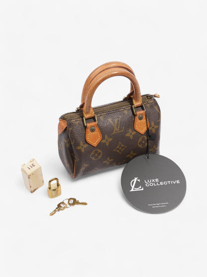 Louis Vuitton Speedy Monogram Coated Canvas Nano