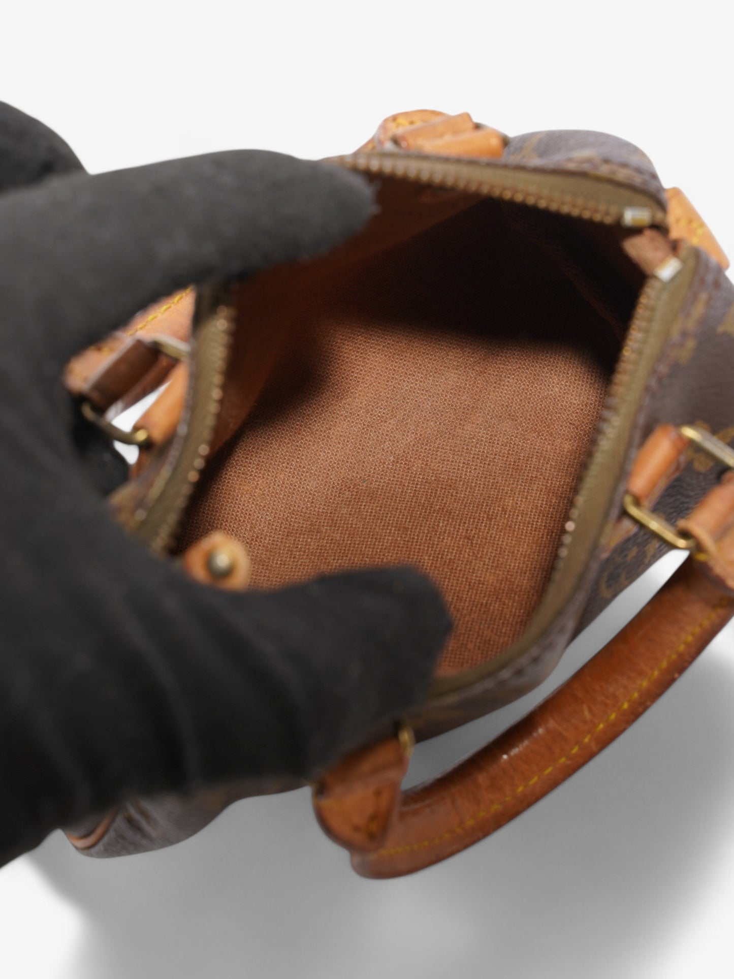 Louis Vuitton Speedy Monogram Coated Canvas Nano