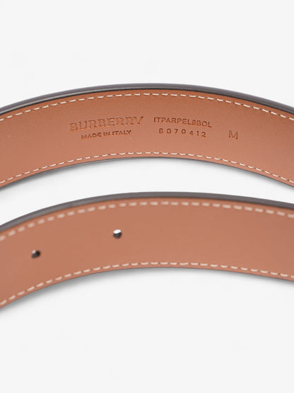 Burberry TB Belt Vintage Check / Briar Brown Canvas Medium - 102cm