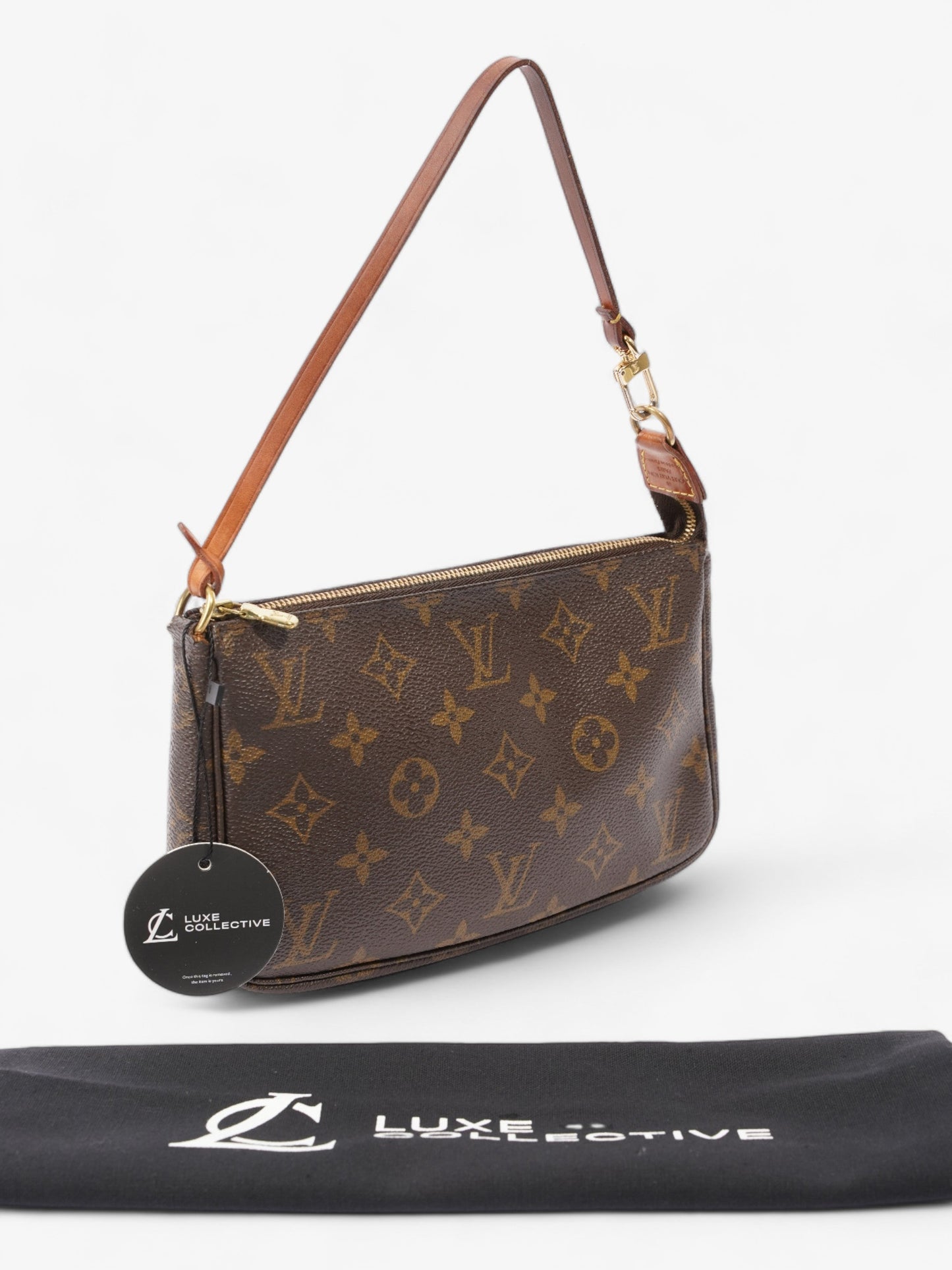 Louis Vuitton Pochette Accessoires Monogram Coated Canvas