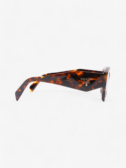 Prada Symbole Sunglasses Tortoise Acetate 145mm