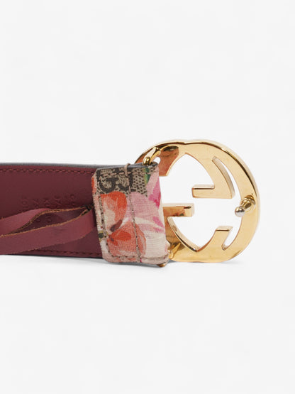 Gucci Interlocking G Belt GG Bloom / GG Supreme Canvas 75cm / 30"