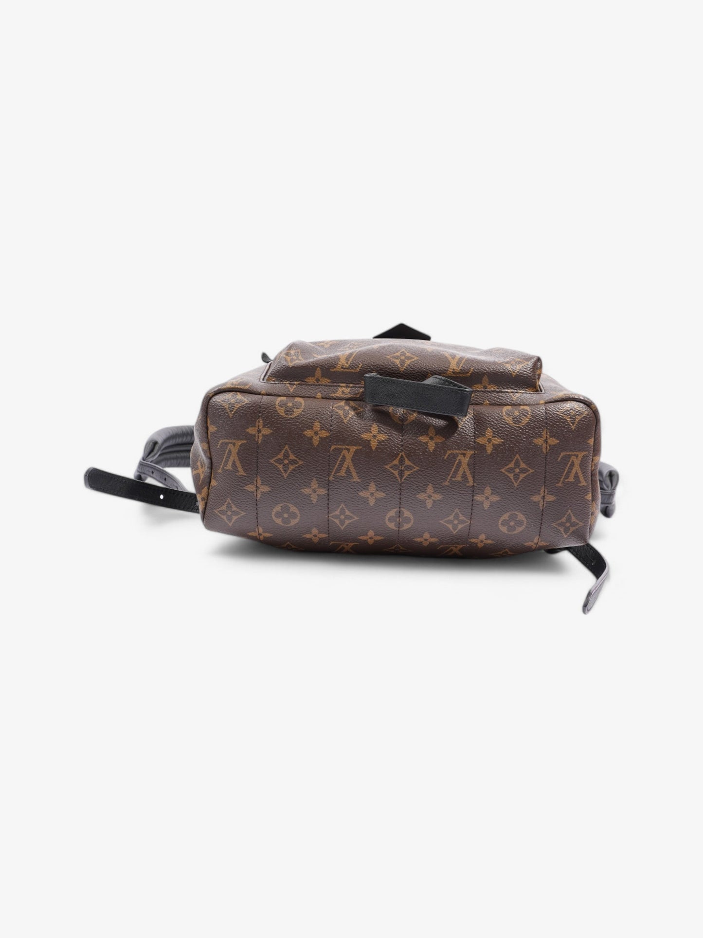 Louis Vuitton Palm Springs Monogram / Black Coated Canvas MM