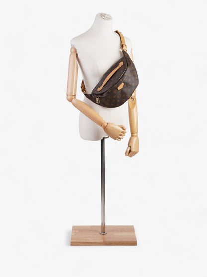 Louis Vuitton Bumbag Monogram Coated Canvas
