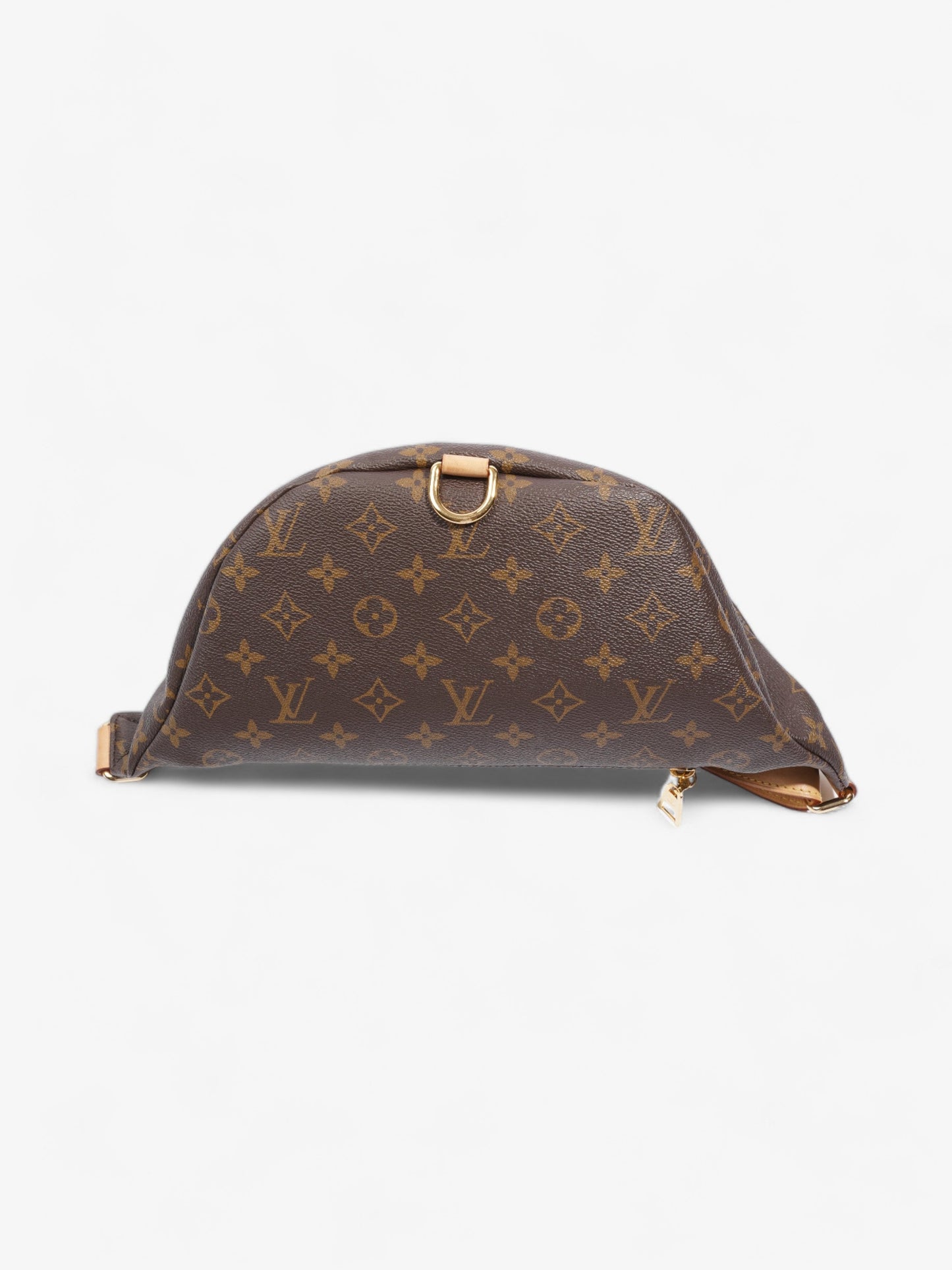 Louis Vuitton Bumbag Monogram Coated Canvas