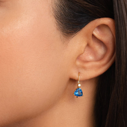 Blue Crystal Drop Earrings