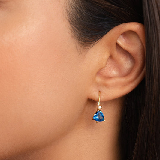 Blue Crystal Drop Earrings