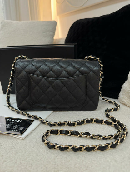 Chanel(17)Small Classic Flap Caviar Bag