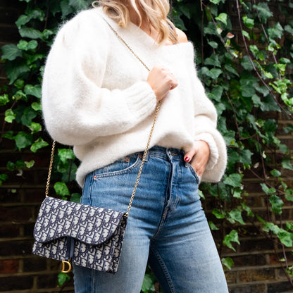 Christian Dior Oblique Saddle Clutch