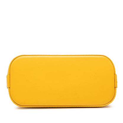 Louis Vuitton Nano Alma Epi 2way bag