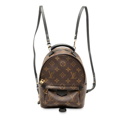 Louis Vuitton Palm Springs Mini Monogram Backpack