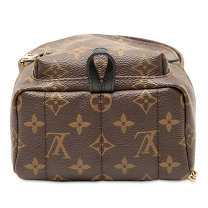 Louis Vuitton Palm Springs Mini Monogram Backpack