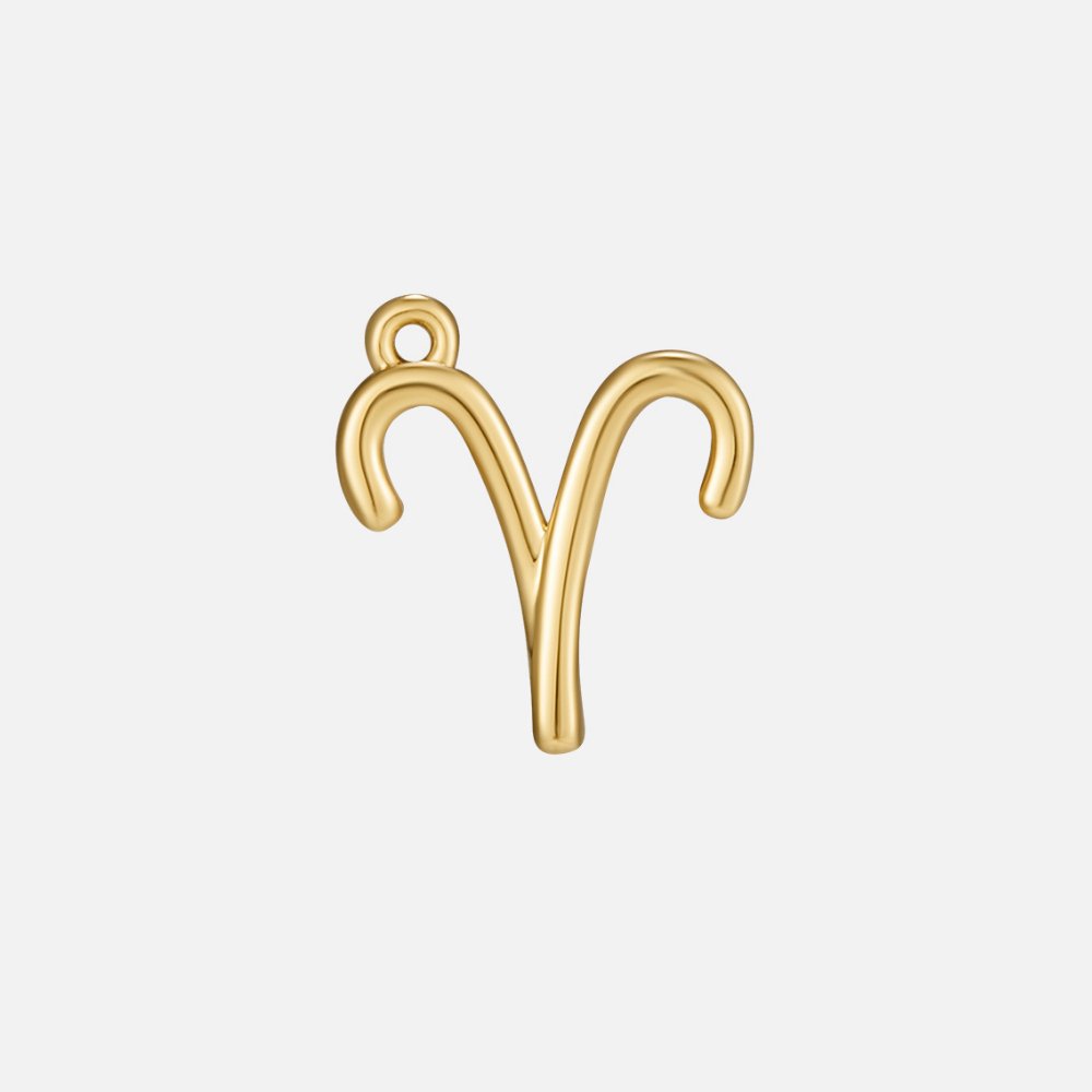 Zodiac Charm Necklace